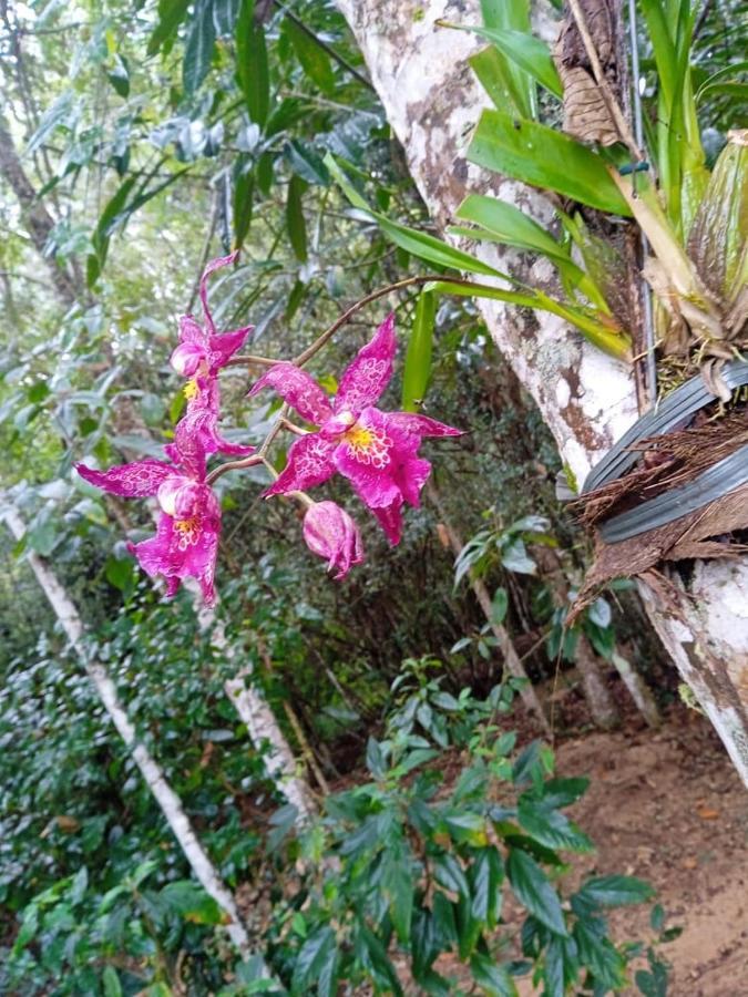 CASA LUXO-água quente-banheira-lareira-cachoeira. Pedra Azul  Exterior foto